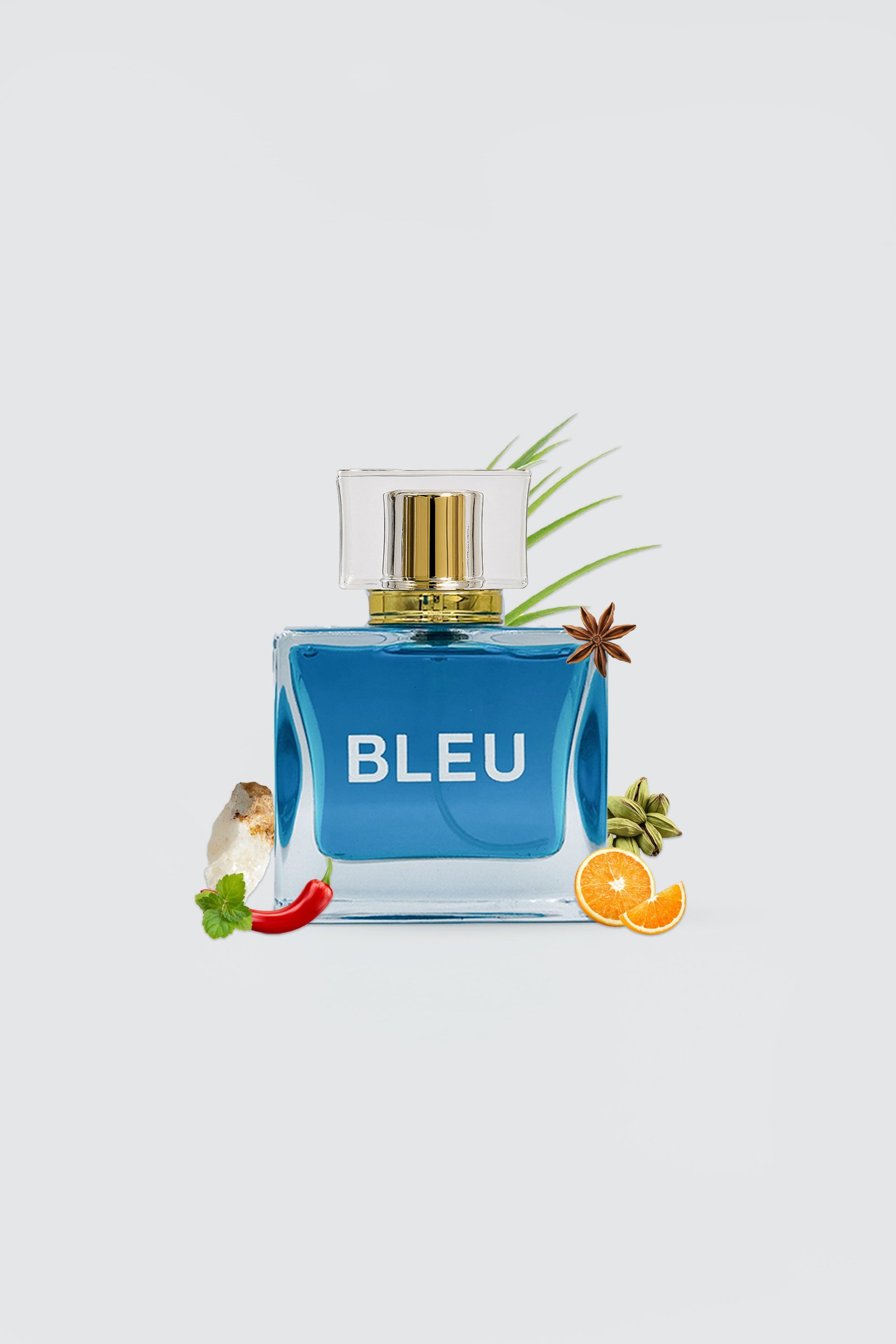 Bleu De HOOK